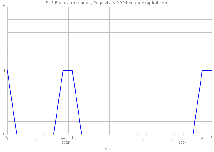 BNF B.V. (Netherlands) Page visits 2024 