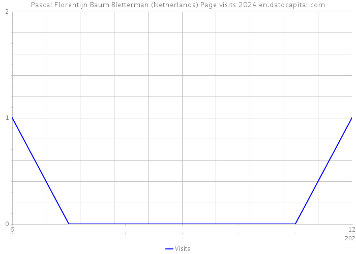 Pascal Florentijn Baum Bletterman (Netherlands) Page visits 2024 