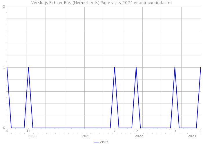 Versluijs Beheer B.V. (Netherlands) Page visits 2024 