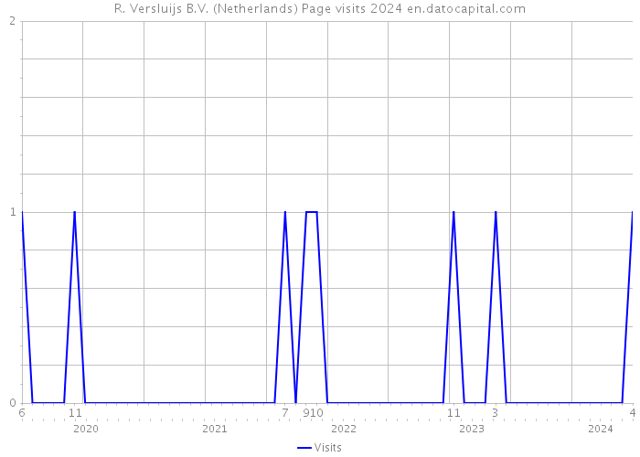 R. Versluijs B.V. (Netherlands) Page visits 2024 