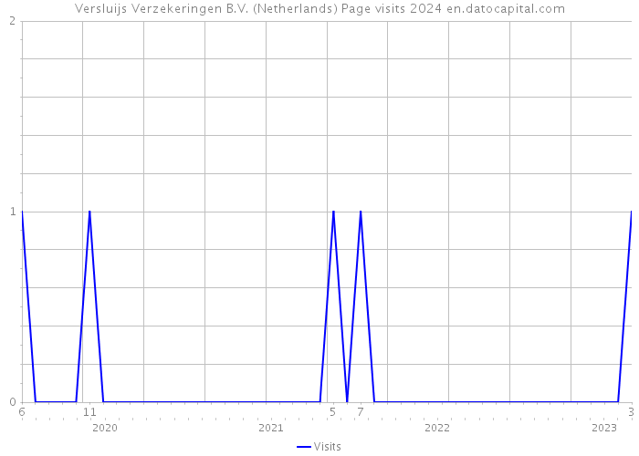 Versluijs Verzekeringen B.V. (Netherlands) Page visits 2024 