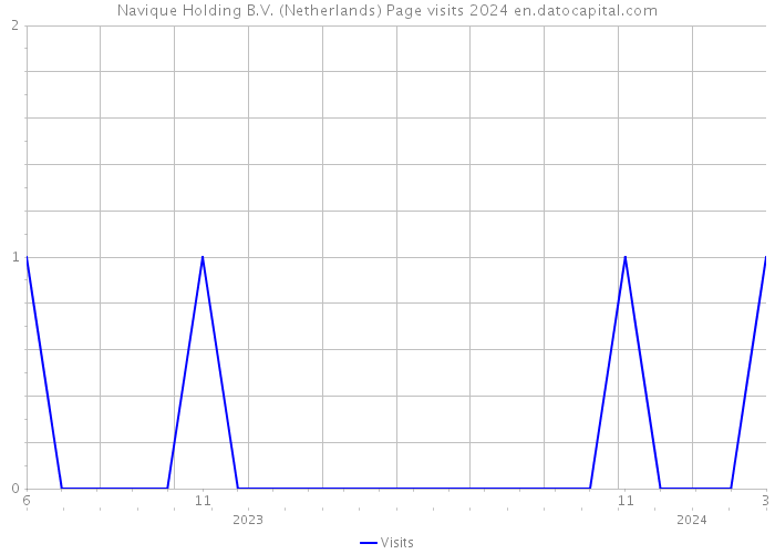 Navique Holding B.V. (Netherlands) Page visits 2024 