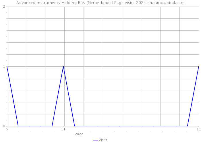 Advanced Instruments Holding B.V. (Netherlands) Page visits 2024 
