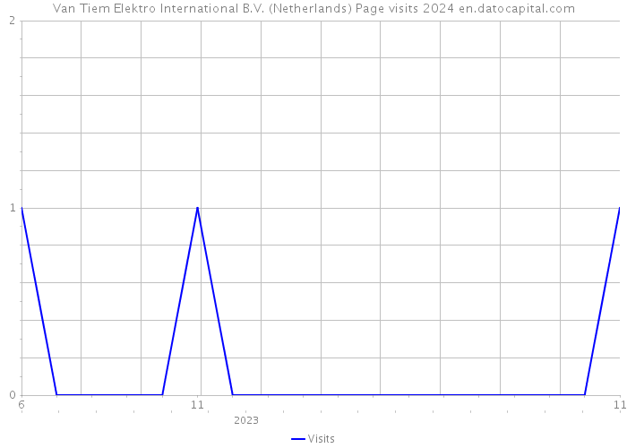 Van Tiem Elektro International B.V. (Netherlands) Page visits 2024 