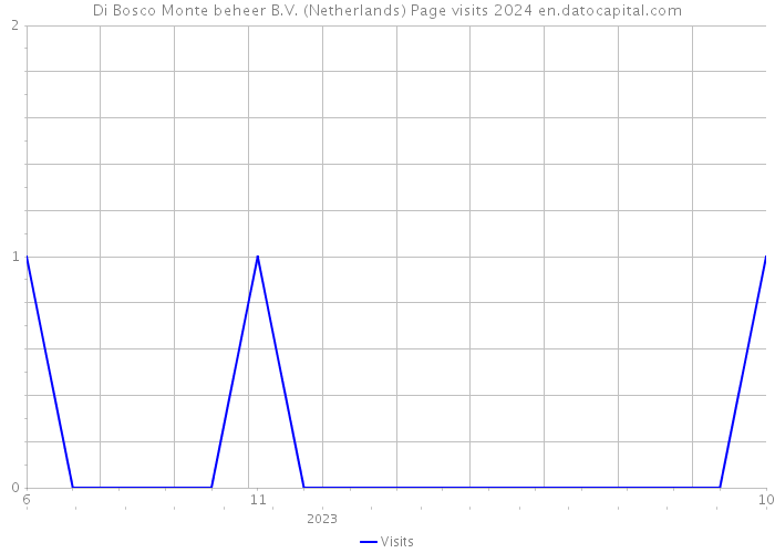 Di Bosco Monte beheer B.V. (Netherlands) Page visits 2024 