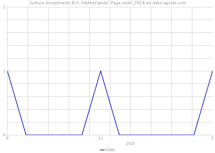 Vulture Investments B.V. (Netherlands) Page visits 2024 