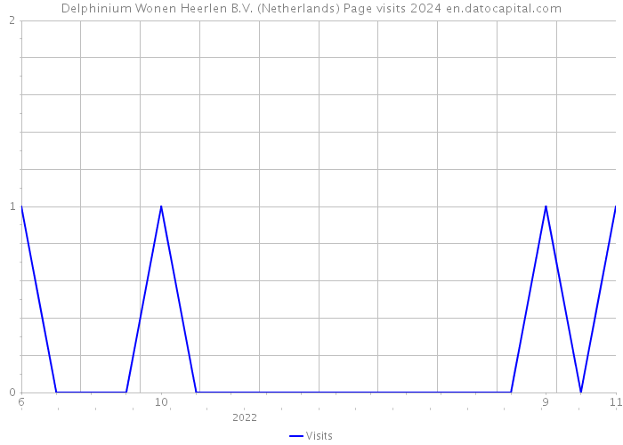 Delphinium Wonen Heerlen B.V. (Netherlands) Page visits 2024 