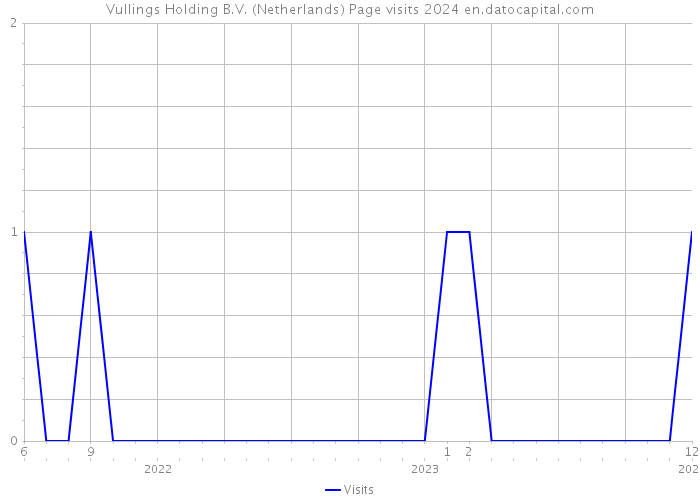 Vullings Holding B.V. (Netherlands) Page visits 2024 