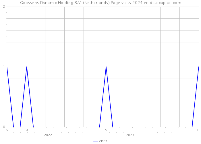 Goossens Dynamic Holding B.V. (Netherlands) Page visits 2024 