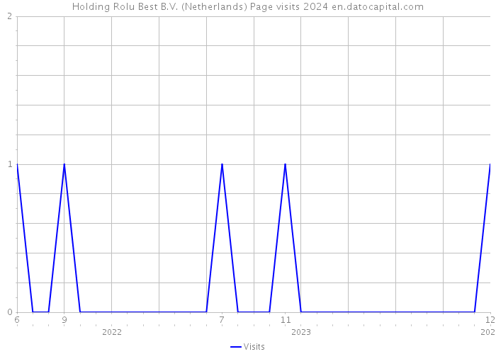 Holding Rolu Best B.V. (Netherlands) Page visits 2024 