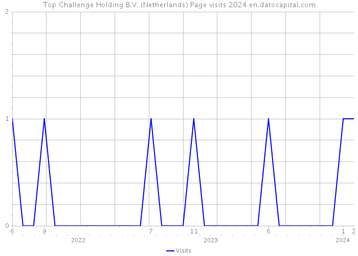 Top Challenge Holding B.V. (Netherlands) Page visits 2024 