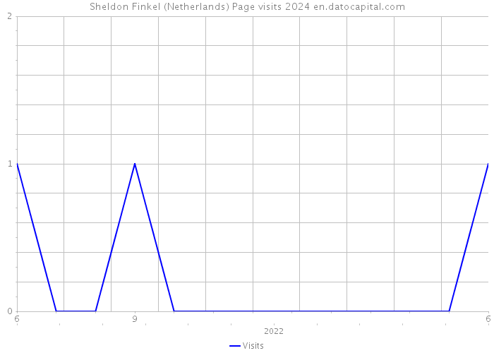 Sheldon Finkel (Netherlands) Page visits 2024 