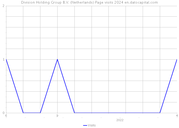 Division Holding Group B.V. (Netherlands) Page visits 2024 