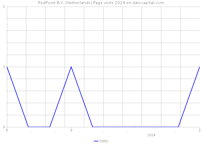 RedPoint B.V. (Netherlands) Page visits 2024 