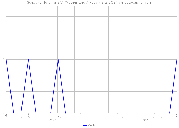 Schaake Holding B.V. (Netherlands) Page visits 2024 