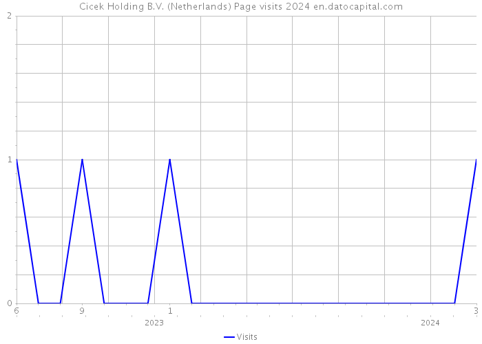 Cicek Holding B.V. (Netherlands) Page visits 2024 