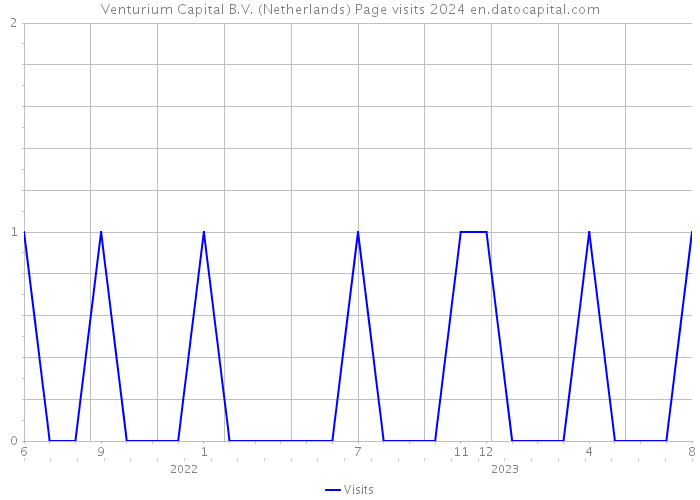 Venturium Capital B.V. (Netherlands) Page visits 2024 