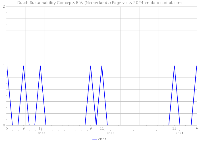 Dutch Sustainability Concepts B.V. (Netherlands) Page visits 2024 