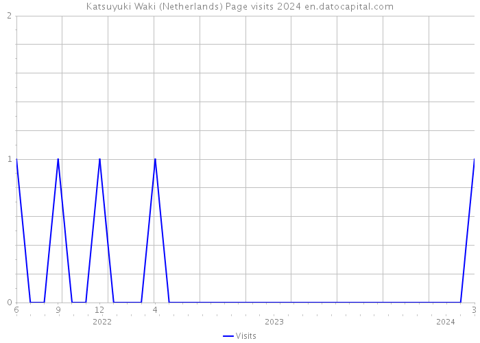 Katsuyuki Waki (Netherlands) Page visits 2024 
