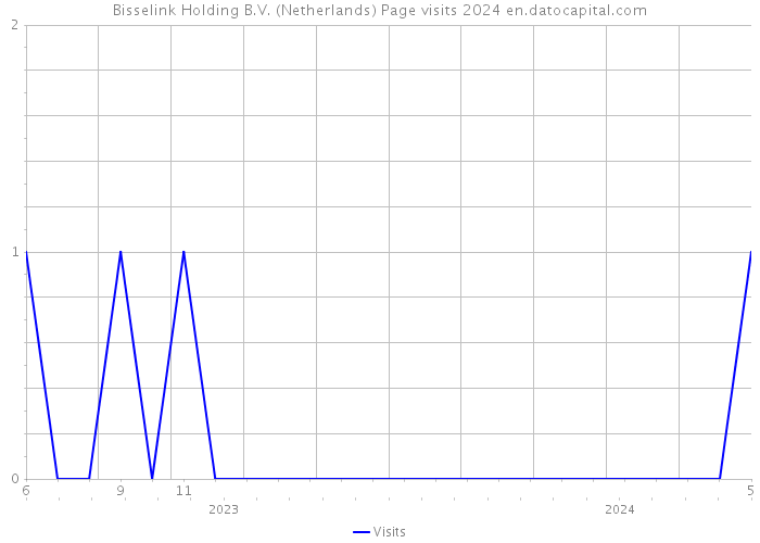 Bisselink Holding B.V. (Netherlands) Page visits 2024 