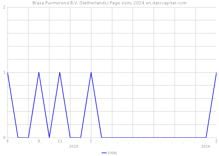 Brasa Purmerend B.V. (Netherlands) Page visits 2024 
