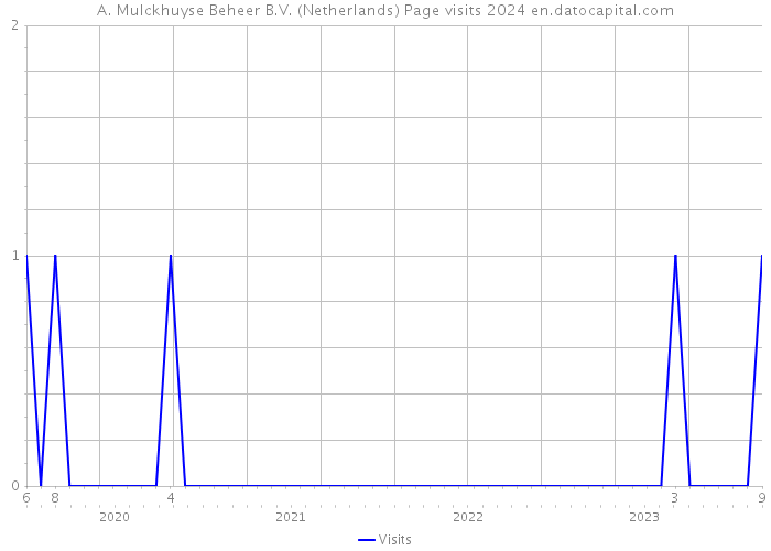 A. Mulckhuyse Beheer B.V. (Netherlands) Page visits 2024 
