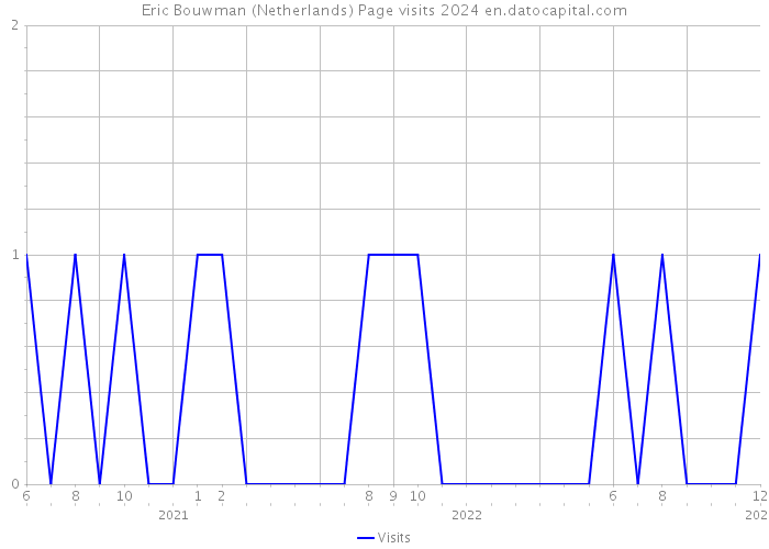 Eric Bouwman (Netherlands) Page visits 2024 