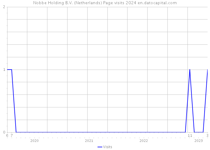 Nobbe Holding B.V. (Netherlands) Page visits 2024 