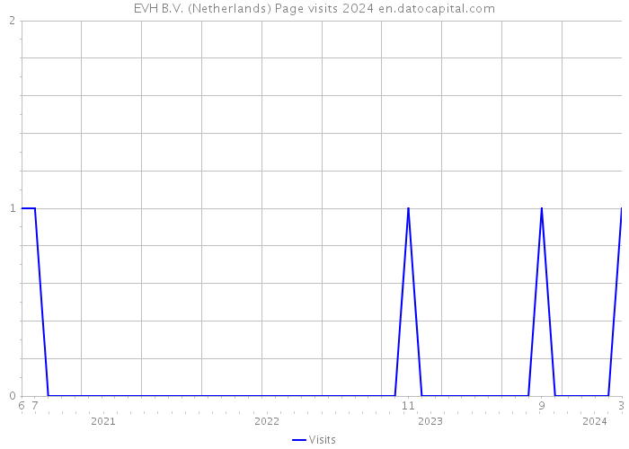 EVH B.V. (Netherlands) Page visits 2024 