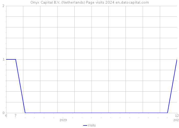 Onyx Capital B.V. (Netherlands) Page visits 2024 