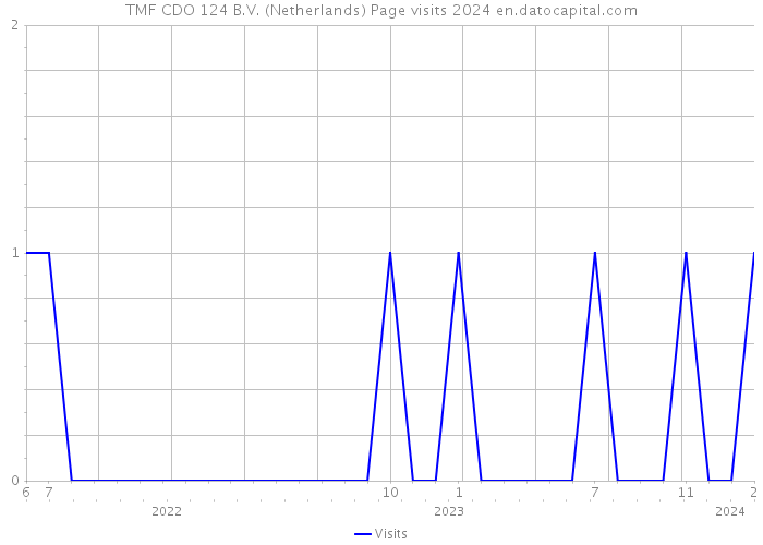 TMF CDO 124 B.V. (Netherlands) Page visits 2024 