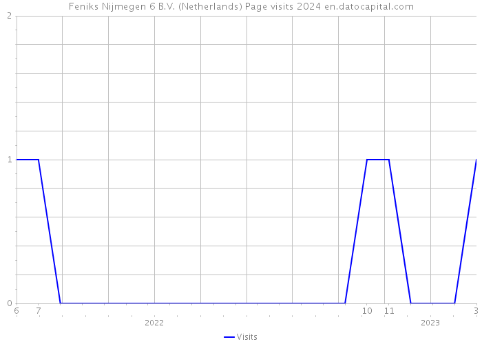 Feniks Nijmegen 6 B.V. (Netherlands) Page visits 2024 
