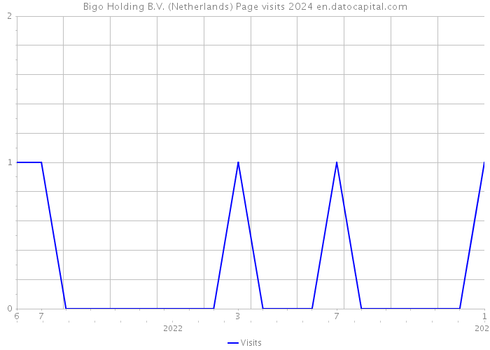 Bigo Holding B.V. (Netherlands) Page visits 2024 