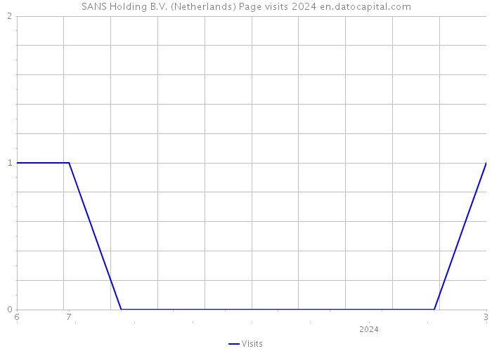 SANS Holding B.V. (Netherlands) Page visits 2024 