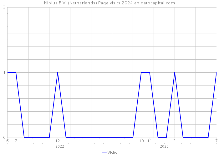 Nipius B.V. (Netherlands) Page visits 2024 