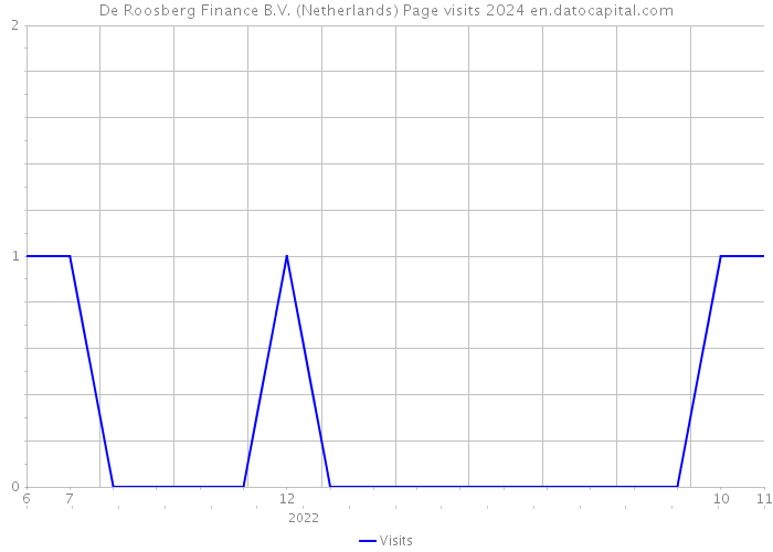 De Roosberg Finance B.V. (Netherlands) Page visits 2024 