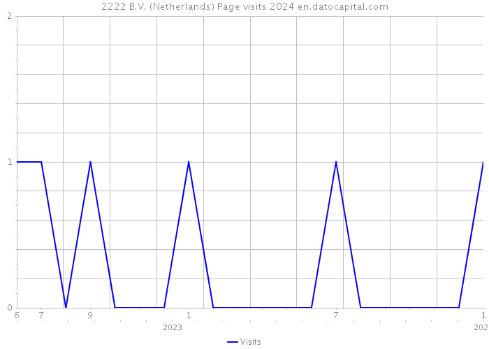 2222 B.V. (Netherlands) Page visits 2024 