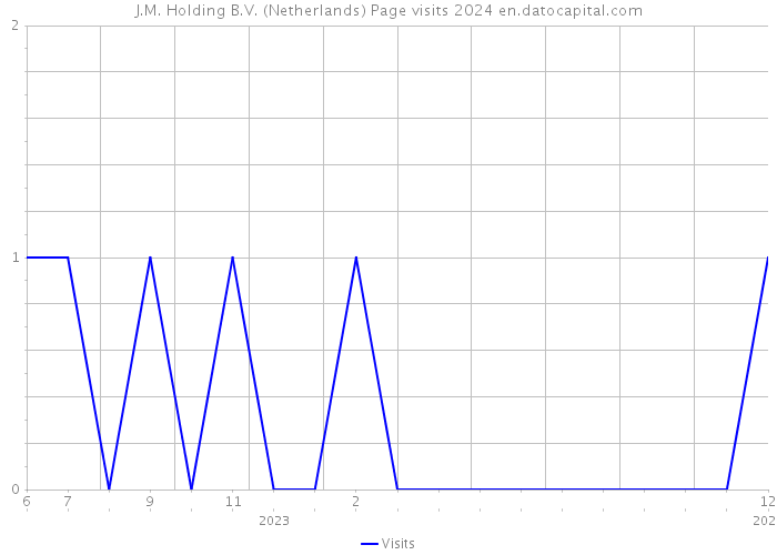 J.M. Holding B.V. (Netherlands) Page visits 2024 