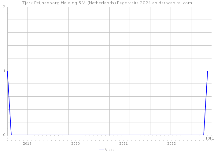 Tjerk Peijnenborg Holding B.V. (Netherlands) Page visits 2024 
