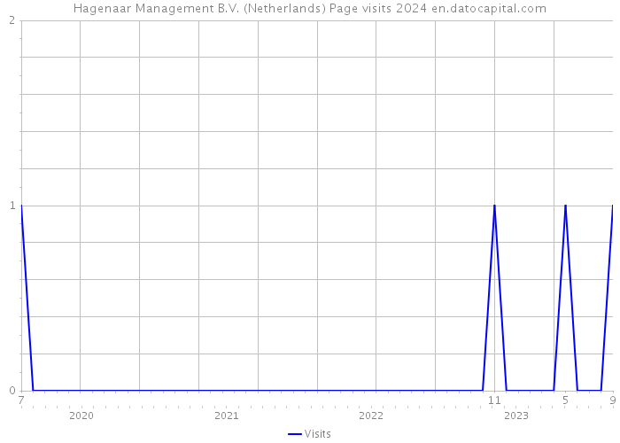 Hagenaar Management B.V. (Netherlands) Page visits 2024 