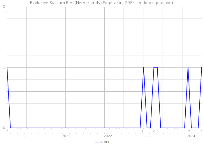 Exclusive Bussum B.V. (Netherlands) Page visits 2024 