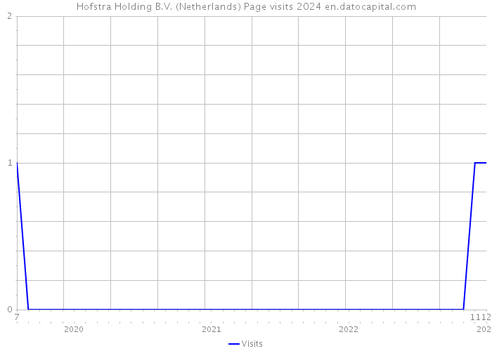 Hofstra Holding B.V. (Netherlands) Page visits 2024 