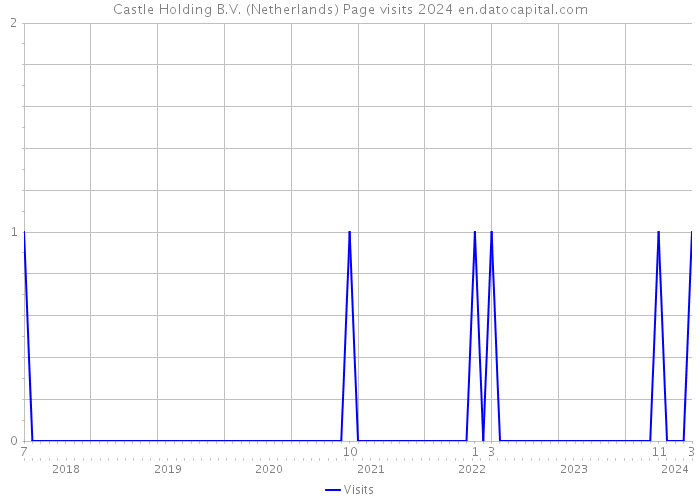 Castle Holding B.V. (Netherlands) Page visits 2024 