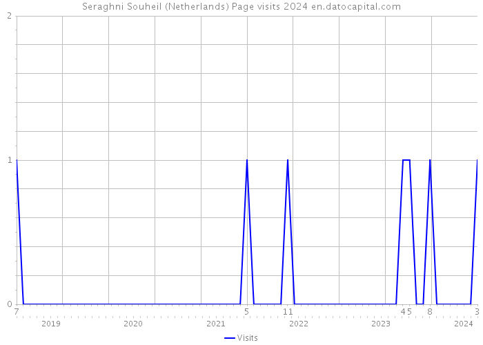 Seraghni Souheil (Netherlands) Page visits 2024 