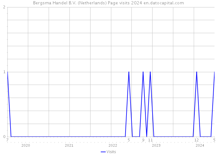 Bergsma Handel B.V. (Netherlands) Page visits 2024 