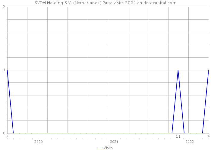 SVDH Holding B.V. (Netherlands) Page visits 2024 