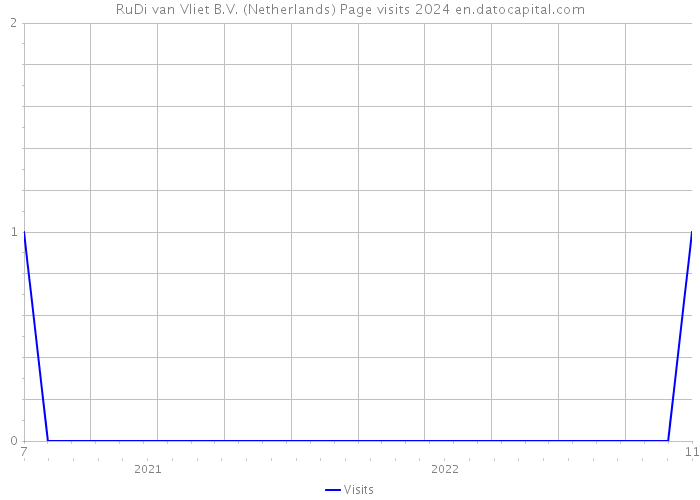 RuDi van Vliet B.V. (Netherlands) Page visits 2024 