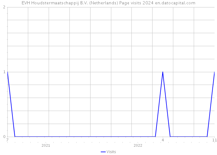 EVH Houdstermaatschappij B.V. (Netherlands) Page visits 2024 
