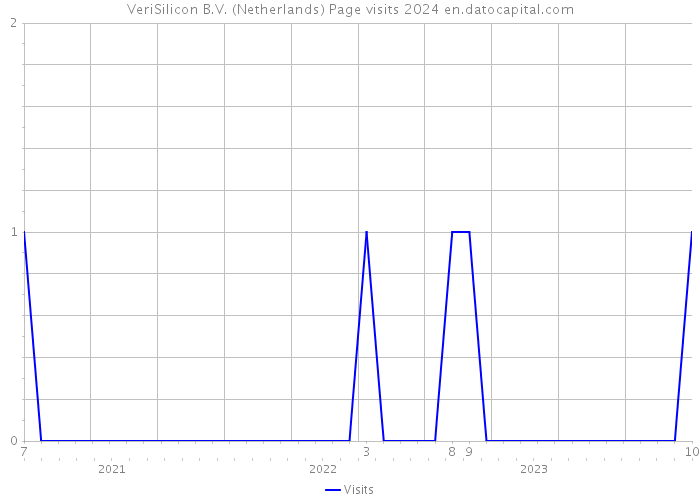VeriSilicon B.V. (Netherlands) Page visits 2024 