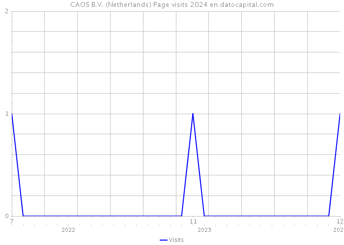 CAOS B.V. (Netherlands) Page visits 2024 